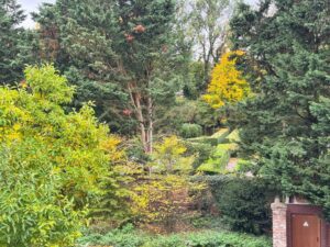 Ausblick auf den Schlosspark