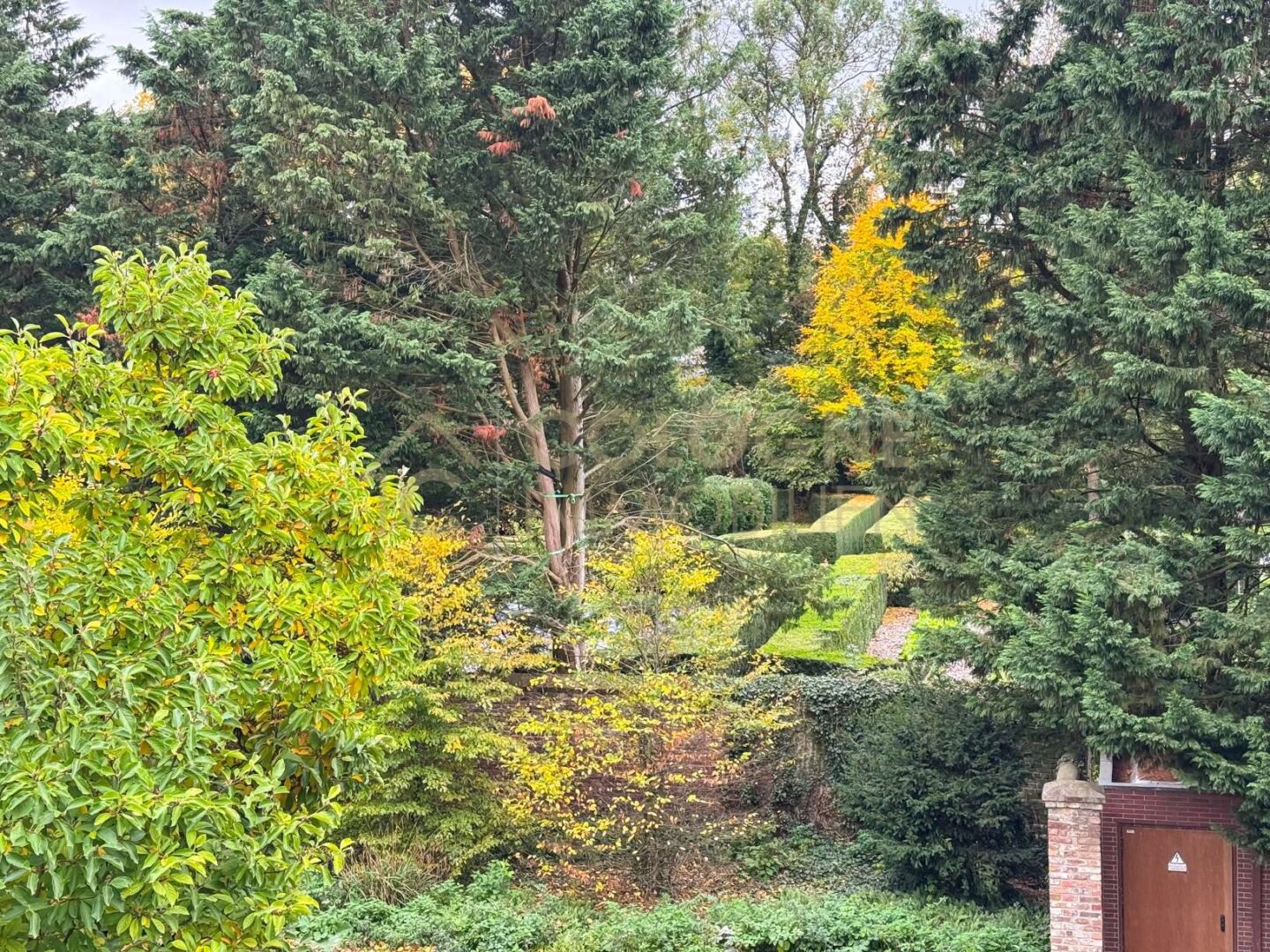 Ausblick auf den Schlosspark