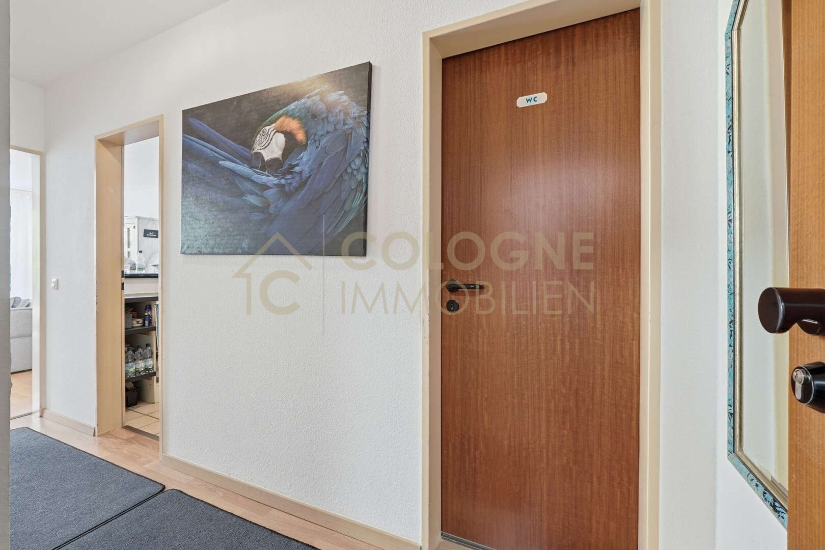 IMMO-PICTURES-007