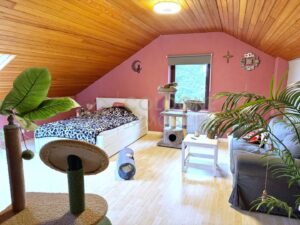 DG: Studio mit Schlafzimmer