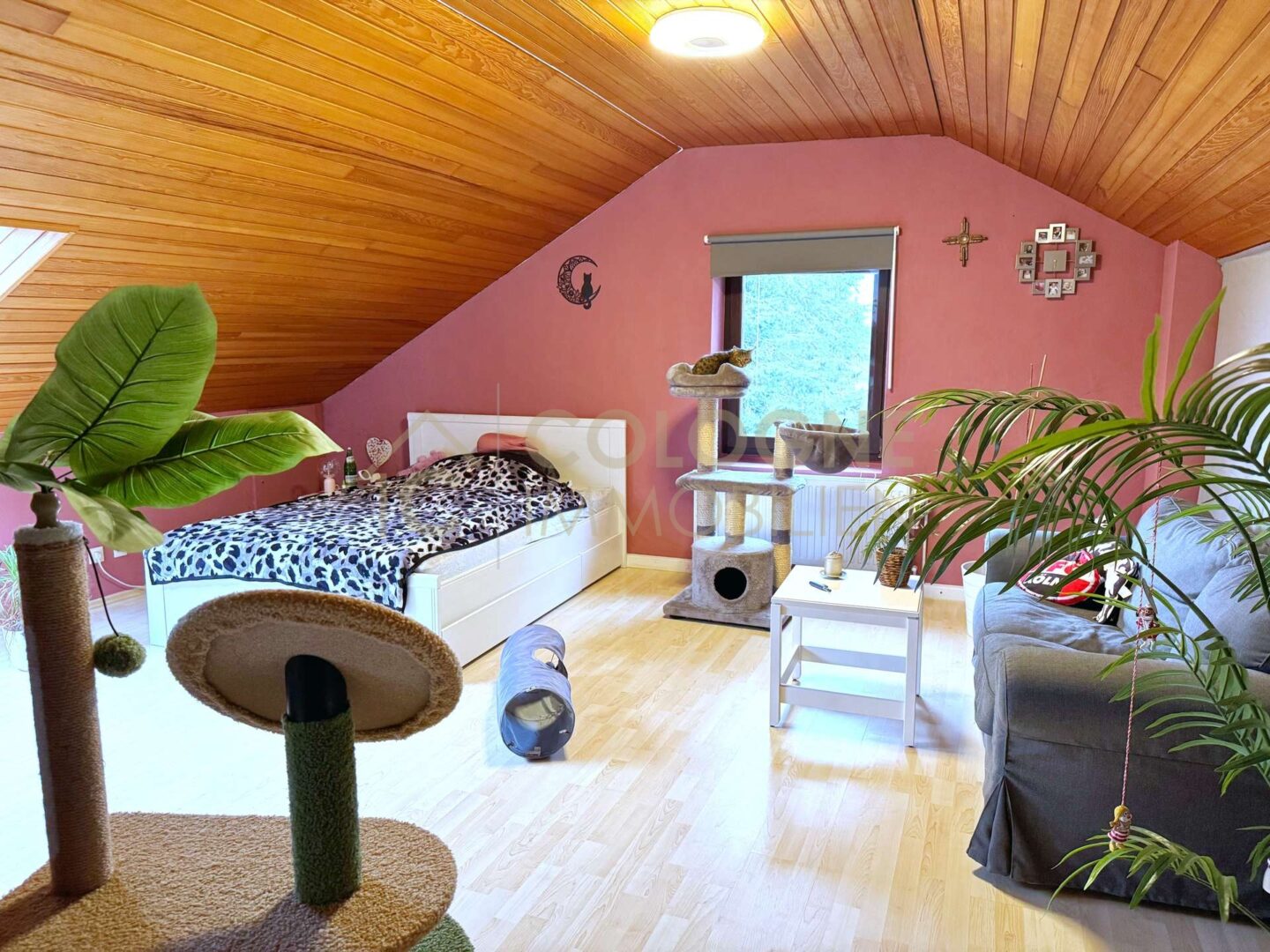 DG: Studio mit Schlafzimmer